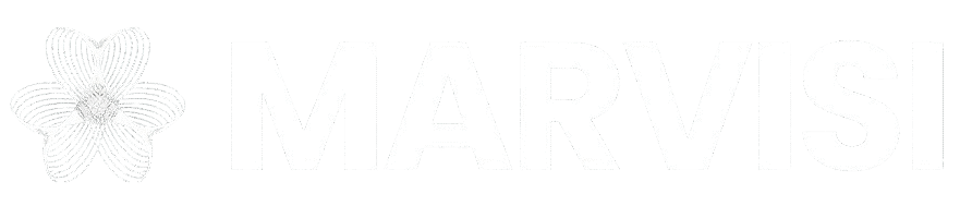 Marvisi Ai Agency